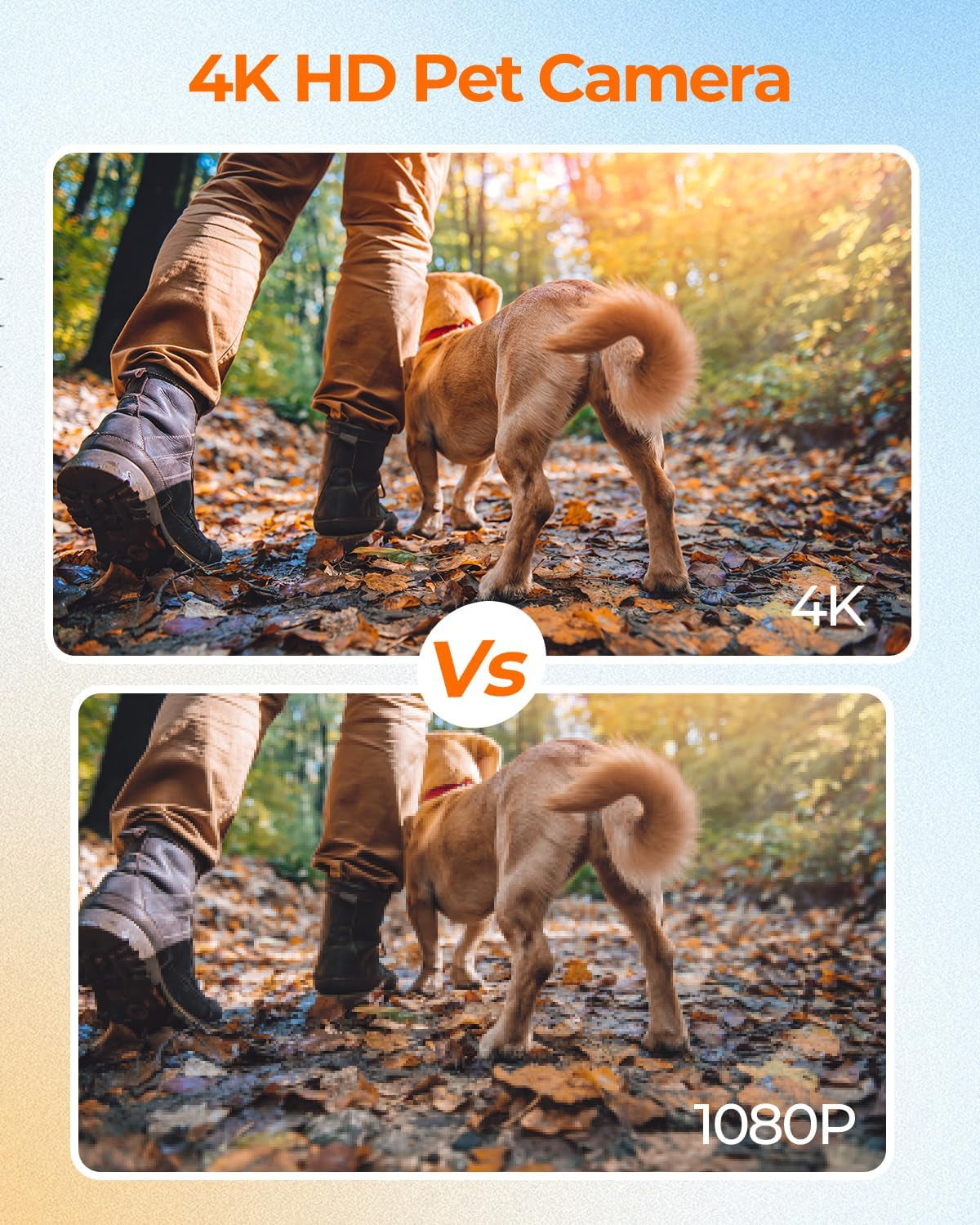 HD 4K Dog Tracker Collar, Wifi Cat Collars Camera Mini Action Camera for Video Records Wireless Cats Dogs Collar Mini Body Cam Outdoor/Inoor Pet Supplies Birthday