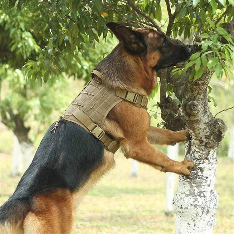 Tactical Dog Harness Military Training K9 Padded Quick Release Vest Pet Training Dog Harness For Set Small Medium Large Dogs