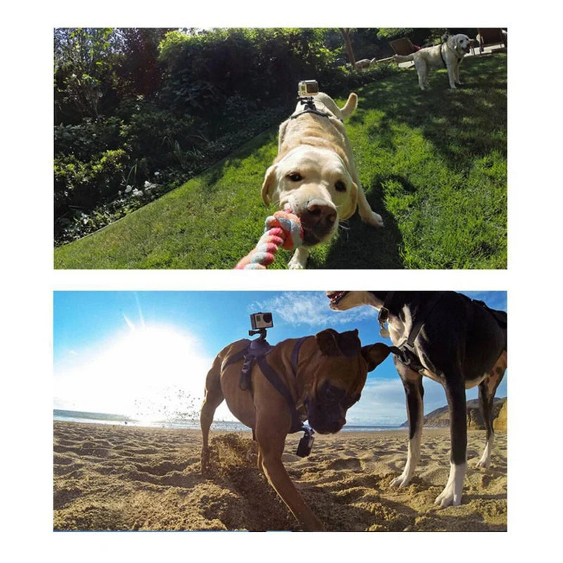 Dog Harness Chest Belt Dog Band Strap For Gopro Hero 12 11 9 8 7 Dog Harness Chest Belt Strap Sports Camera Mount Holder