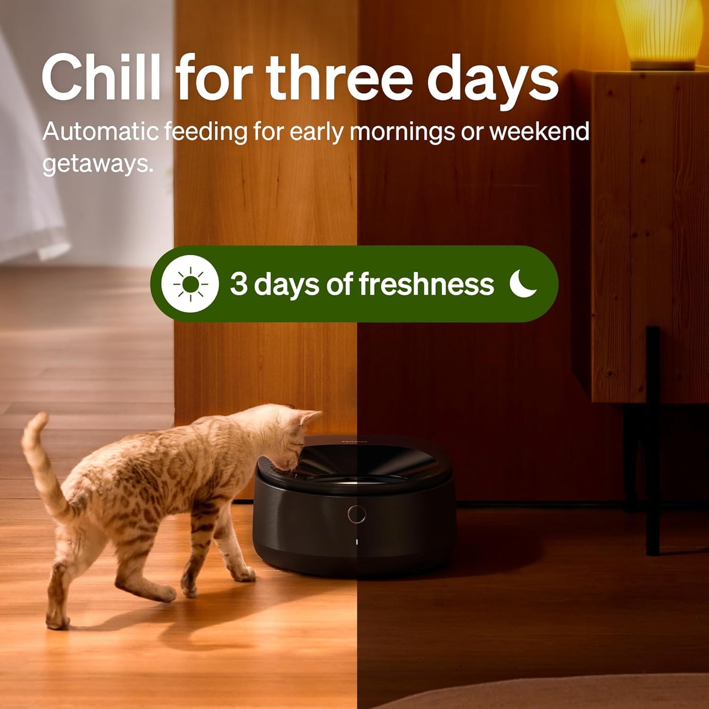 Automatic Cat Feeder Wet Food with Stainless Steel Bowl, Refrigerated Auto Cat Feeder with Semiconductor Cooling, 3 Fresh Meals for 3 Days, App-Controlled Pet Food Dispenser, Easy to Clean